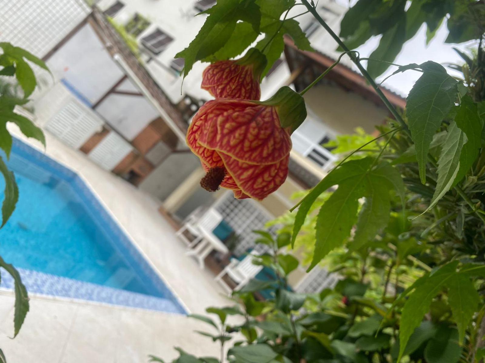Pousada Do Tio Cido Guarujá Eksteriør bilde